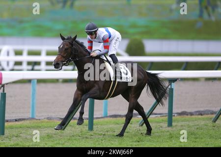 Hyogo, Japon. 26th novembre 2022. Tenno message et Cristian Demuro gagnent le Hanshin à l'hippodrome de Hanshin à Hyogo, Japon, 26 novembre 2022. Crédit: Eiichi Yamane/AFLO/Alay Live News Banque D'Images