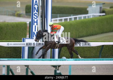 Hyogo, Japon. 26th novembre 2022. Jovian et Cristian Demuro remportent le Hanshin 1R à l'hippodrome de Hanshin à Hyogo, Japon, 26 novembre 2022. Crédit: Eiichi Yamane/AFLO/Alay Live News Banque D'Images