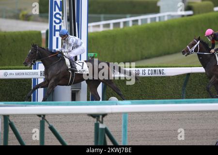 Hyogo, Japon. 26th novembre 2022. Un résultat impressionnant et Yutaka remporte le premier Hanshin 4R au champ de courses de Hanshin à Hyogo, Japon, 26 novembre 2022. Crédit: Eiichi Yamane/AFLO/Alay Live News Banque D'Images