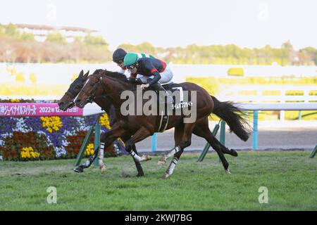 Hyogo, Japon. 26th novembre 2022. Time of Flight et Hayato Yoshida gagnent l'Esaka Tokubetsu à l'hippodrome de Hanshin à Hyogo, Japon, 26 novembre 2022. Crédit: Eiichi Yamane/AFLO/Alay Live News Banque D'Images