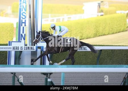 Hyogo, Japon. 26th novembre 2022. Geraldo Barows et Kohei Matsuyama remportent les piquets Ibaraki à l'hippodrome de Hanshin à Hyogo, Japon, 26 novembre 2022. Crédit: Eiichi Yamane/AFLO/Alay Live News Banque D'Images