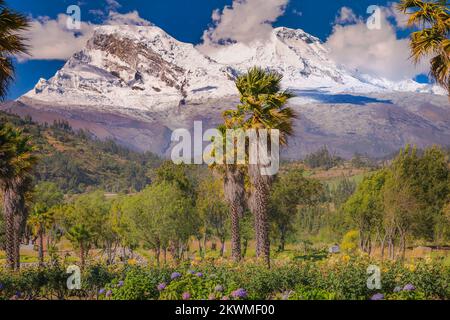 Montagne Huascaran et Yungay dans la Cordillère Blanca, Andes enneigées, Ancash, Pérou Banque D'Images