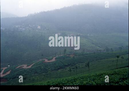 L'une des stations de colline les plus belles et sereines que vous rencontreriez dans le pays est Coonoor, c'est la deuxième plus grande station de colline dans les chaînes de Nilgiri des Ghâts occidentaux. Coonoor est situé à une altitude de 1930 m et aussi à une très proche proximité de Ooty. Cela a été découvert par les Britanniques qui sont venus visiter pendant les vacances d'été au 19e siècle. Coonoor est également connu pour ses jardins de thé. Inde Banque D'Images