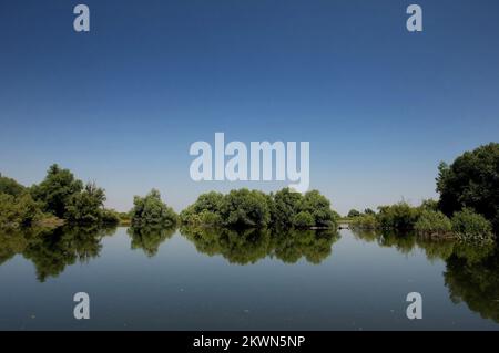 Croatie en tant que 28th Etat membre de l'UE - Parc naturel le Parc naturel de Kopacki rit Kopaèki Rit est une zone inondée dans le nord-est de la Croatie, au confluent des fleuves Drava et Danube. RIT Boots est l'une des plus grandes plaines alluviales d'Europe. Avec des zones périodiquement inondées - le soi-disant. étangs et dépressions où l'eau coule - canaux et naturels, il y a plusieurs lacs qui ne sèchent jamais. Le lac le plus grand est le lac Kopacko et le lac le plus profond Sakadasko. En raison de sa préservation en tant qu'écosystèmes rares de ritskog, de sa grande biodiversité et de sa valeur scientifique et écologique exceptionnelle, Kopaèki rit en 1967. Le Banque D'Images