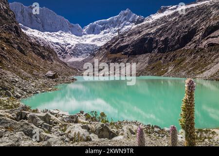 Lac Llaca dans la Cordillère Blanca avec des Andes enneigées, Ancash, Pérou Banque D'Images