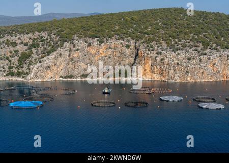 Une petite crique océanique sur la côte du Péloponnèse en Grèce avec des filets d'aquaculture et un bateau d'entretien Banque D'Images