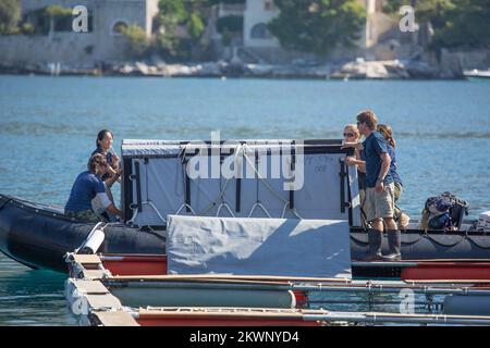 Six dauphins et plongeurs croates entraînés soutiendront les soldats américains lorsqu'ils fougueront la mer dans la région de Dubrovnik pour trouver d'éventuelles mines et autres explosifs. Le projet Dolphin 13 fait partie du Programme d'action humanitaire contre les mines des États-Unis, auquel participent l'ambassade des États-Unis et l'état-major général des forces armées croates, et sera exécuté sous les auspices du Département d'État des États-Unis. Banque D'Images