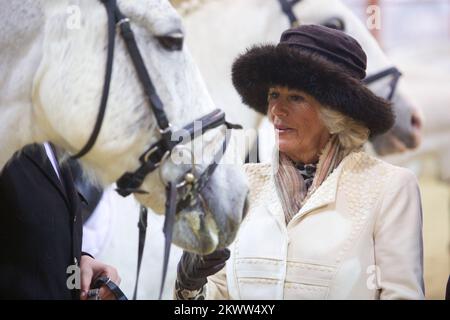 Leur Altesse Royale le prince de Galles et la duchesse de Cornouailles lors de la visite de deux jours en Croatie. Après avoir visité ensemble Osijek, la duchesse de Cornwall Camilla a visité les fermes nationales de Stud à Djakovo. Elle observa la performance de Lipizzaners et de char décoré traditionnellement. L'hôte de la duchesse était le directeur des navires de Nidal du Paddock et le maire de Djakovo, Zoran Vinkovic. Photo: Vlado Kos/Cropix/POOL/PIXSELL Banque D'Images