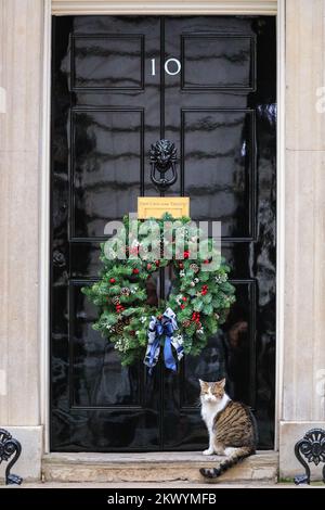 Londres, Royaume-Uni. 30th novembre 2022. Larry The Cat, chef Mouser et célèbre félin de Downing Street, est assis patiemment à la porte noire de Downing Street 10, sous une couronne de Noël festive aujourd'hui, puis va étudier le joli arbre de Noël et ses décorations. Credit: Imagetraceur/Alamy Live News Banque D'Images