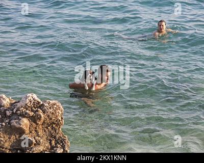 20.07.2017., Makarska, Croatie - cavalier le roi Charles Spaniel sur le dos de son propriétaire n'est toujours pas sûr s'il aime se rafraîchir dans la mer ou pas. Photo: Toni Katic/HaloPix/PIXSELL Banque D'Images