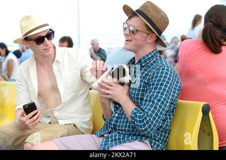 25.08.2017., Split, Croatie - les touristes sur le ferry jouent avec Jack Russell Terrier, âgé de deux mois. Photo: Miranda Cikotic/PIXSELL Banque D'Images