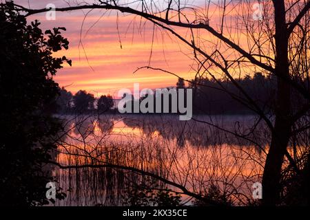 Lever de soleil pittoresque au bord du lac avec brouillard le matin. Couleurs pastel du ciel, brume au-dessus de l'eau et silhouette sombre des arbres. Magie, paysage de l'aube Banque D'Images