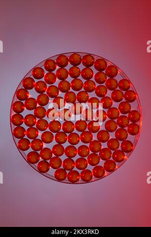 Pilules rouges avec vitamine D dans la boîte de Petri sur fond violet Banque D'Images