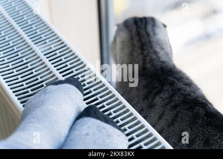 L'hôtesse avec son animal de compagnie - un chat - se baise près du radiateur de chauffage par temps froid Banque D'Images