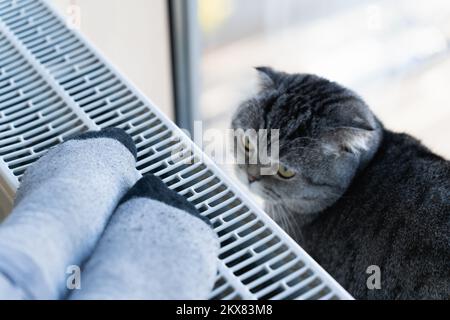 Un homme et un chat se bassent près du radiateur de chauffage en saison froide Banque D'Images