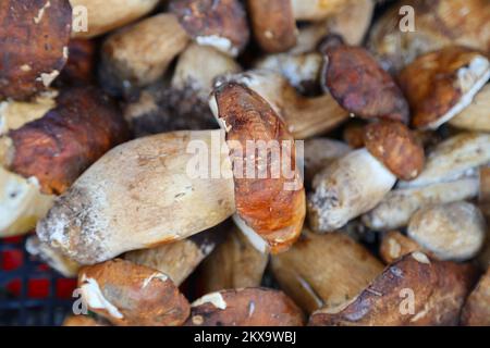 Champignons porcini en vente sur le marché de Cetara, Italie Banque D'Images