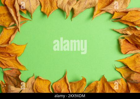 cadre de feuilles séchées sur fond de papier vert. Mise au point en gros plan Banque D'Images