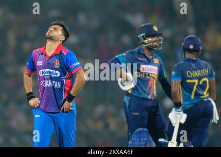 Kandy, Sri Lanka. 30th novembre 2022. Le Fazalhaq Farooqi d'Afghanistan réagit lors du match de cricket de l'ODI 3rd entre le Sri Lanka et l'Afghanistan au stade de cricket international Pallekele de Kandy, le 30th novembre 2022. Viraj Kothalwala/Alamy Live News Banque D'Images