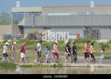 13.06.2019., Nin, Croatie les saltworks de Nin, Solana Nin, où l'ensemble du saltwork de la ville est encore fait traditionnellement et à la main, a ouvert ses portes aux visiteurs intéressés, à Nin, en Croatie, sur 13 juin 2019. Cela signifie qu'il sera possible pour les habitants et les visiteurs de visiter Solana Nin et son Musée du sel gratuitement. Photo: Dino Stanin/PIXSELL Banque D'Images