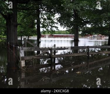 Inondations : tempête violente - Memphis, Tennessee. , 14 mai 2011 les champs agricoles restent profonds dans les eaux d'inondation. Les dommages à la ferme et aux pâturages seront considérables. Marilee Caliendo/FEMA. Tennessee : tempêtes, tornades, vents en ligne droite et inondations. Photographies relatives aux programmes, aux activités et aux fonctionnaires de gestion des catastrophes et des situations d'urgence Banque D'Images