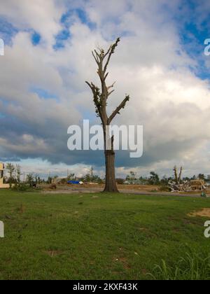 Tornado - Tuscaloosa, Alabama , 16 juillet 2011 près de 90 jours après une série de tornades ont frappé Tuscaloosa sur 27 avril 2011, certaines maisons résidentielles révèlent encore des dommages importants à la tornade le long de la rue 15th, près de l'intersection de la promenade Dr. Edward Hillard et de l'écusson Cedar. La FEMA surveille de nombreux efforts d'élimination des débris et de nettoyage dans la région. Alabama : fortes tempêtes, tornades, vents en ligne droite et inondations. Photographies relatives aux programmes, aux activités et aux fonctionnaires de gestion des catastrophes et des situations d'urgence Banque D'Images