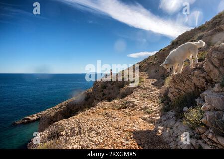 Vue de la belle plage Oprna à Stara Baska , île de Krk , Croatie sur 6 juillet 2020.Oprna plage est considérée comme la plus belle plage de l'île de Krk, et beaucoup pensent que c'est l'une des plus belles plages croates. La plage de galets et de sable d'Oprna est située dans une magnifique baie près de Stara Baška. La seule façon d'atteindre la plage depuis la terre sont des chemins étroits et assez inégaux, ce qui fait de la plage idéale pour ceux qui ne sont pas fans de grandes foules. Photo: Nel Pavletic/PIXSELL Banque D'Images