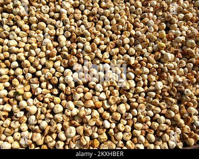 Photo prise sur 24 août 2020. Montre la façon traditionnelle de sécher le soleil les figues dans le village de Bacina près de Ploce, en Croatie. Photo: Toni Katic/HaloPix/PIXSELL Banque D'Images