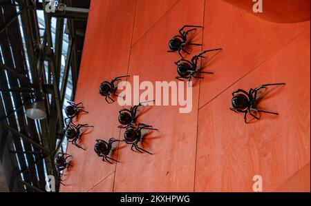 Une photo d'une installation d'art avec des araignées noires exposées au centre artistique de NDSM. Banque D'Images