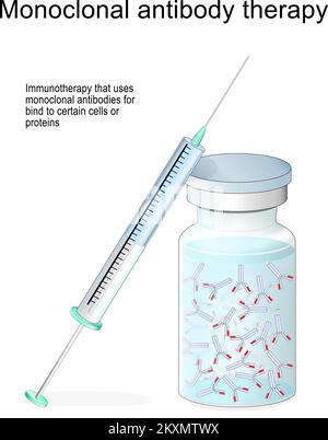 Traitement par anticorps monoclonaux. Immunothérapie qui utilise des anticorps pour se lier à certaines cellules ou protéines. Traitement du cancer, maladies auto-immunes Illustration de Vecteur