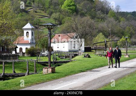 Mirjana Petricevic (50) et Jean-Louis Annaloro (61) de Paris ont décidé de remplacer la vie stressante et trépidante de la métropole française par la paix et le calme d'un petit village slave Stara Kapela, Croatie, 29 avril 2021. Un couple français à Stara Kapela a acheté une maison de rêve, et en raison de travaux de rénovation, ils dorment actuellement dans un campeur. Les sections locales les aident à travailler, à construire des permis et à établir des connexions à l'infrastructure. Ils hacher du bois tous les matins, tout est simple et ils l'apprécient. La paix qu'ils ont rencontrée et le mode de vie presque Robinson Crusoe ont un très positif Banque D'Images