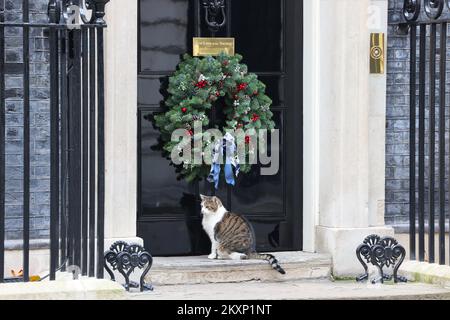 Larry le célèbre chat devant le numéro 10 Downing Street avec la couronne de Noël pour la saison de fête, Londres, Royaume-Uni Banque D'Images