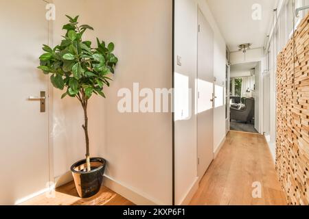 Intérieur moderne plat de style minimaliste avec couloir vide étroit éclairé par des lampes Banque D'Images