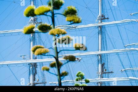 Le navire d'entraînement à la voile de la Marine nationale algérienne El-Mellah s'arrime au port de Split, en Croatie, sur 20 juillet 2021. El-Mellah (signifiant marin en arabe) a été construit par le chantier naval polonais Remontowa Shipbuilding à Gdansk et lancé en novembre 2015 et est l'un des plus grands voiliers scolaires du monde. Photo: Milan SABIC/PIXSELL Banque D'Images