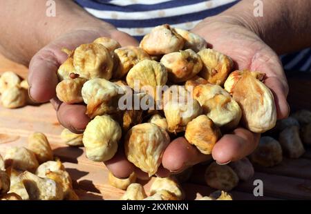 Des figues séchées peuvent être vues sur la photo de Grabastica le 9L septembre 2021. Figues sèches méthode traditionnelle de séchage des figues dans la famille de Cvita et Ivan Bacelic de Grebastica. Les figues récoltées sont disposées sur des cadres en bois, granziola, et séchées au soleil avec le renversement obligatoire des figues afin de sécher uniformément. Photo: Dusko Jaramaz/PIXSELL Banque D'Images