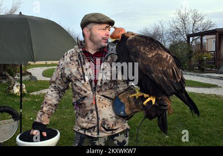 Les éleveurs et les chasseurs qui chassent avec des aigles d'or se sont rassemblés à Nova Gradiska, en Croatie, sur 1 décembre 2021. Photo: Ivica Galovic/ PIXSELL Banque D'Images