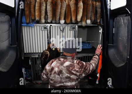 Les éleveurs et les chasseurs qui chassent avec des aigles d'or se sont rassemblés à Nova Gradiska, en Croatie, sur 1 décembre 2021. Photo: Ivica Galovic/ PIXSELL Banque D'Images