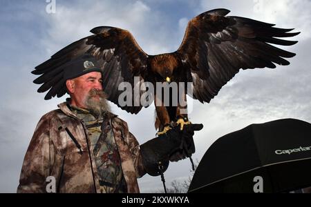 Les éleveurs et les chasseurs qui chassent avec des aigles d'or se sont rassemblés à Nova Gradiska, en Croatie, sur 1 décembre 2021. Photo: Ivica Galovic/ PIXSELL Banque D'Images