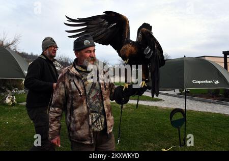 Les éleveurs et les chasseurs qui chassent avec des aigles d'or se sont rassemblés à Nova Gradiska, en Croatie, sur 1 décembre 2021. Photo: Ivica Galovic/ PIXSELL Banque D'Images