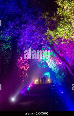 Midhurst, West Sussex, Royaume-Uni. 30th novembre 2022. De superbes sentiers lumineux s'affichent lors de la nuit de Noël à Cowdray, dans le domaine historique de Cowdray Park, au cœur du parc national de South Downs. L'expérience immersive magique présente une série de magnifiques installations d'art lumineux à grande échelle pour capturer la magie de cette période merveilleuse de l'année. Crédit : Carolyn Jenkins/Alay Live News Banque D'Images