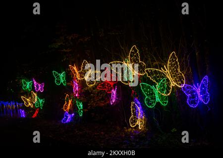 Midhurst, West Sussex, Royaume-Uni. 30th novembre 2022. De superbes sentiers lumineux s'affichent lors de la nuit de Noël à Cowdray, dans le domaine historique de Cowdray Park, au cœur du parc national de South Downs. L'expérience immersive magique présente une série de magnifiques installations d'art lumineux à grande échelle pour capturer la magie de cette période merveilleuse de l'année. Flutter. Crédit : Carolyn Jenkins/Alay Live News Banque D'Images