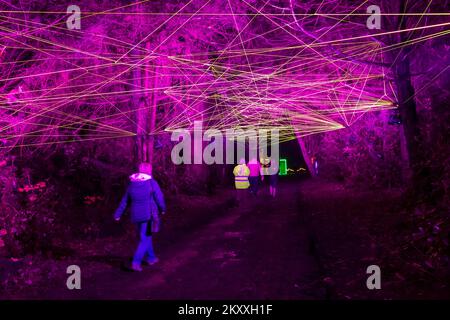 Midhurst, West Sussex, Royaume-Uni. 30th novembre 2022. De superbes sentiers lumineux s'affichent lors de la nuit de Noël à Cowdray, dans le domaine historique de Cowdray Park, au cœur du parc national de South Downs. L'expérience immersive magique présente une série de magnifiques installations d'art lumineux à grande échelle pour capturer la magie de cette période merveilleuse de l'année. Rhizome. Crédit : Carolyn Jenkins/Alay Live News Banque D'Images