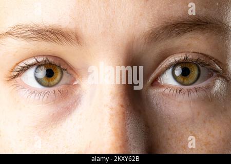 Gros plan des yeux bruns de la femme caucasienne avec des taches de rousseur Banque D'Images