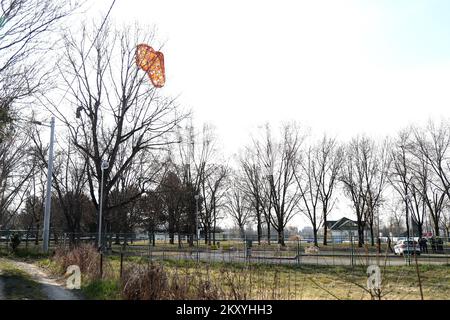 Un parachute de cargaison coincé sur les arbres au site de l'accident. La police mène une enquête après que l'objet est tombé de l'air sur Jaraun, et la police a confirmé qu'un cratère et deux parachutes ont été trouvés. Les agents de police ont assuré une zone plus étroite et plus large de la scène où l'enquête est menée avec la participation de tous les services compétents. Peu après 11 heures, un objet inconnu a frappé le sol près du dortoir d'étudiants de Stjepan Radic, provoquant une détonation puissante qui a été entendue dans cette partie de la ville. L'enquête de police sur la rue Jarunska où l'objet Banque D'Images