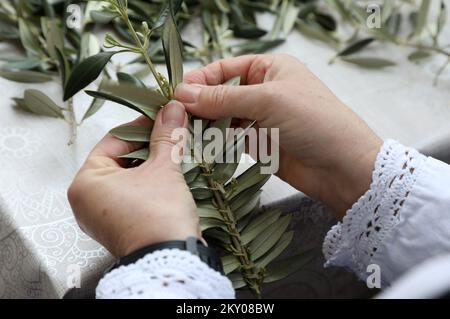 Le tricotage de branches d'olive peut être vu dans la photo à Bodarica, Croatie sur 9 avril 2022. Le tricotage des branches d'olive est une coutume traditionnelle pour les plus grandes vacances chrétiennes, Pâques. Photo: Dusko Jaramaz/PIXSELL Banque D'Images