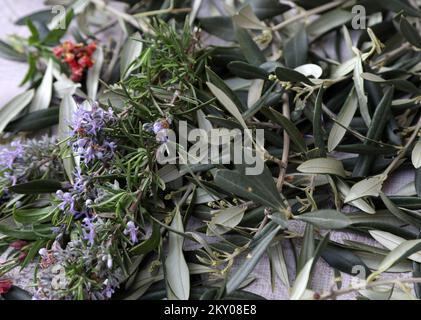 Le tricotage de branches d'olive peut être vu dans la photo à Bodarica, Croatie sur 9 avril 2022. Le tricotage des branches d'olive est une coutume traditionnelle pour les plus grandes vacances chrétiennes, Pâques. Photo: Dusko Jaramaz/PIXSELL Banque D'Images