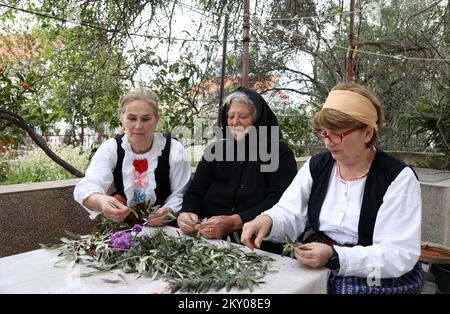 Le tricotage de branches d'olive peut être vu dans la photo à Bodarica, Croatie sur 9 avril 2022. Le tricotage des branches d'olive est une coutume traditionnelle pour les plus grandes vacances chrétiennes, Pâques. Photo: Dusko Jaramaz/PIXSELL Banque D'Images