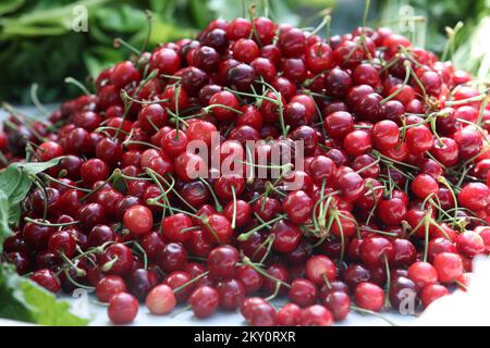 On peut voir les cerises rouges dans les stands du marché de Sibenik, où la vente des premiers fruits de cette année a commencé. Sibenik, Croatie, on 09 mai. 2022. Photo: Dusko Jaramaz/PIXSELL Banque D'Images