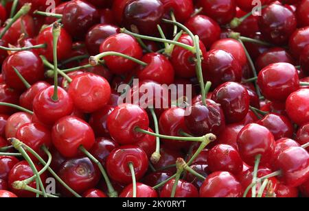 On peut voir les cerises rouges dans les stands du marché de Sibenik, où la vente des premiers fruits de cette année a commencé. Sibenik, Croatie, on 09 mai. 2022. Photo: Dusko Jaramaz/PIXSELL Banque D'Images