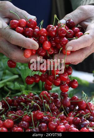 On peut voir les cerises rouges dans les stands du marché de Sibenik, où la vente des premiers fruits de cette année a commencé. Sibenik, Croatie, on 09 mai. 2022. Photo: Dusko Jaramaz/PIXSELL Banque D'Images