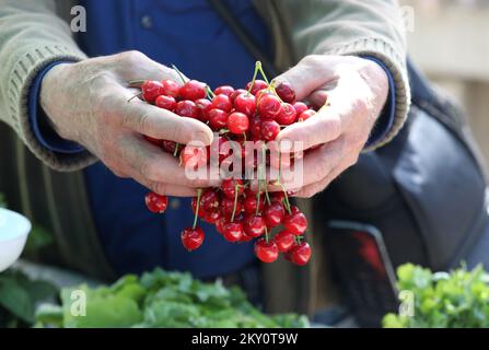 On peut voir les cerises rouges dans les stands du marché de Sibenik, où la vente des premiers fruits de cette année a commencé. Sibenik, Croatie, on 09 mai. 2022. Photo: Dusko Jaramaz/PIXSELL Banque D'Images